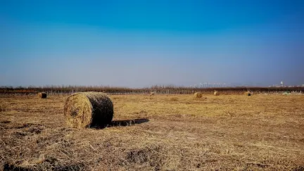 Kasyno Slot Shack Aplikacja mobilna